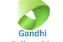 Gandhi Fellowship Program.png