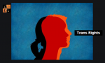 Transgender Rights.png