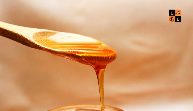 Honey.jpg