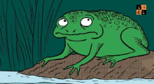 frog.jpg