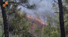 Forest Fires- Uttrakhand.jpg