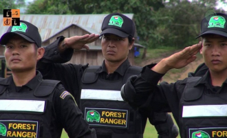 Forest Rangers.jpg