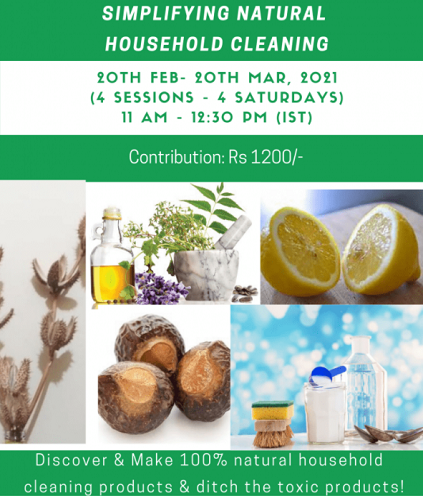 Earthjust Ecosystems Foundation Workshop on Sustainability Living Practices.png