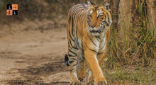 Corbett Tiger Reserve.jpg