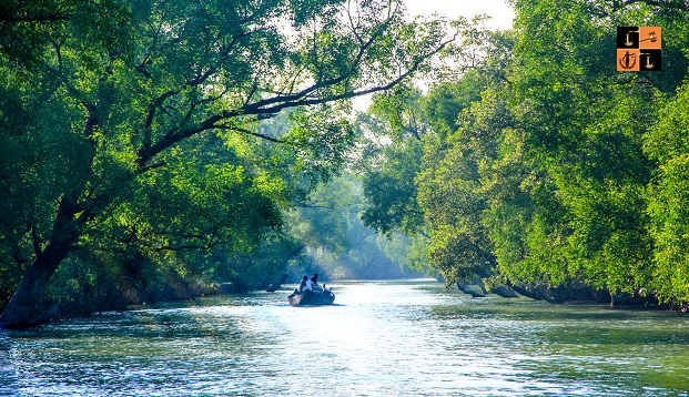 Sundarban.jpg