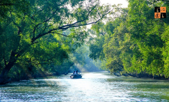 Sundarban.jpg
