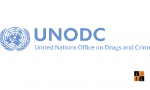 UNODC.png