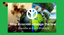 Ecocide Law.jpg