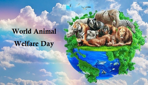 National Essay Writing Competition on World Animal Welfare Day by HPNLU,  Shimla: Submit by Sep 25