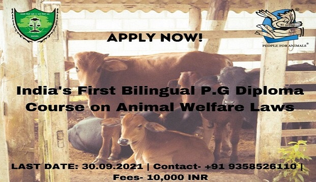 Poster-3-1.jpg