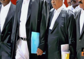 Lawyer,advocate.jpeg