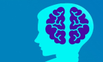 Brain Booster Articles.JPG