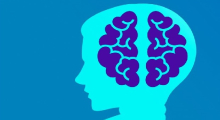 Brain Booster Articles.JPG