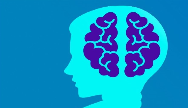 Brain Booster Articles.JPG