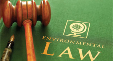 environlaw225.jpg