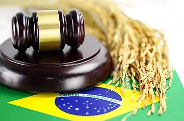 Agriculture of Law.jpg