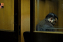 False Cases Against Men- Accused- Convict.jpg