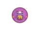 delhi university.png