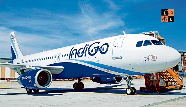 Indigo.jpg