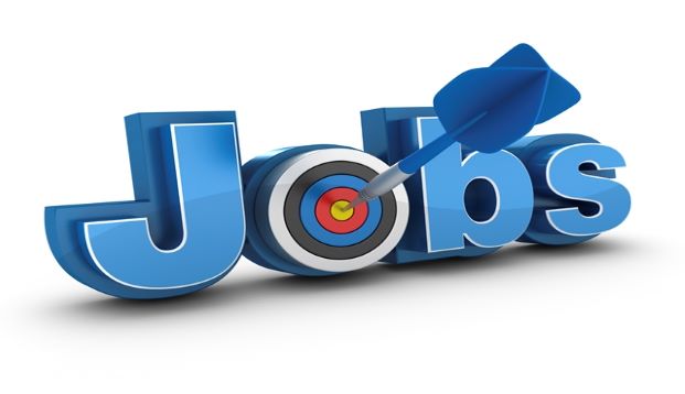 job new 1.jpg