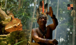 Amazon-Brazil.jpg