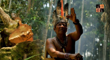 Amazon-Brazil.jpg