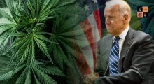 Joe Biden- Marijuana-United States 1.PNG