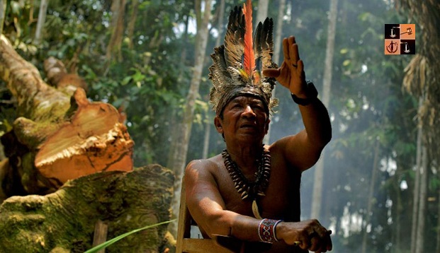 Amazon-Brazil.jpg