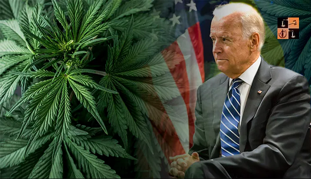 Joe Biden- Marijuana-United States 1.PNG