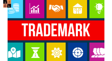 Trademark Disputes.png