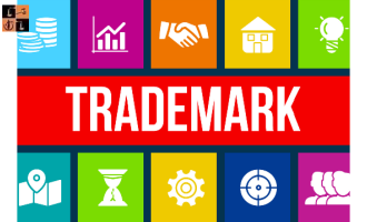 Trademark Disputes.png