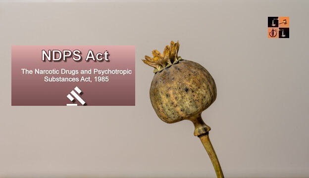 Poppy Straw Drug.jpg
