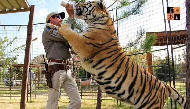 Tiger King.PNG
