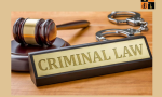 Criminal Law.png