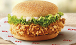 KFC chicken zinger.jpeg