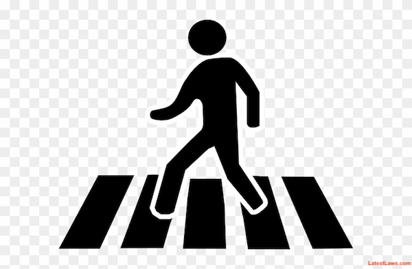 zebra crossing.jpeg