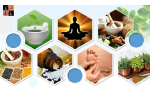 Alternate Medicine Practice.jpg