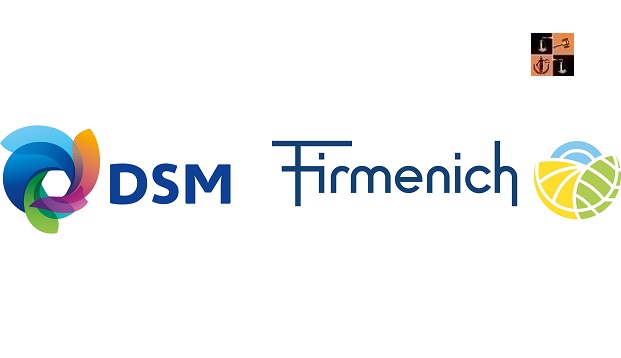 DSM and Firemench.jpg