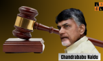 chandrababu naidu .png