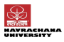 Navrachana University.jpg