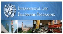 International Law Fellowship.PNG