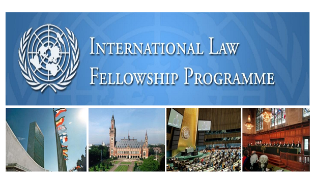International Law Fellowship.PNG
