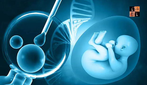 IVF Embryo.PNG
