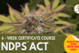 6 - WEEK CERTIFICATE COURSE ON NDPS ACT BY LEGAL VIDHIYA.jpg