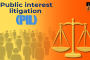 PIL public interest litigation.png