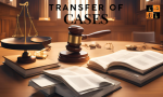 Transfer of Cases.png