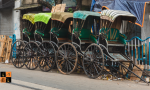 Hand pulled rickshaw.png