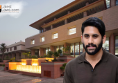 Akkineni Naga Chaitanya.png